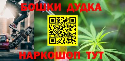 крисы Новокубанск