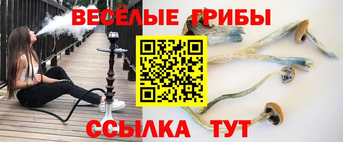 Псилоцибиновые грибы Magic Shrooms Советская Гавань